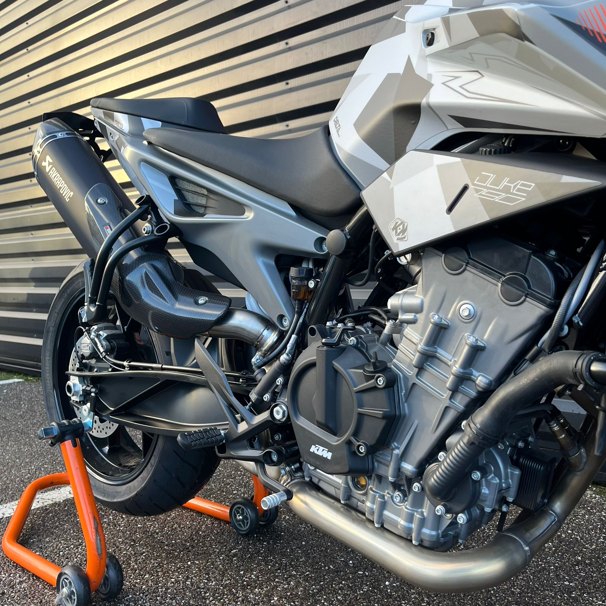 whatsapp-image-2026-02-06-at-16-48-29-1