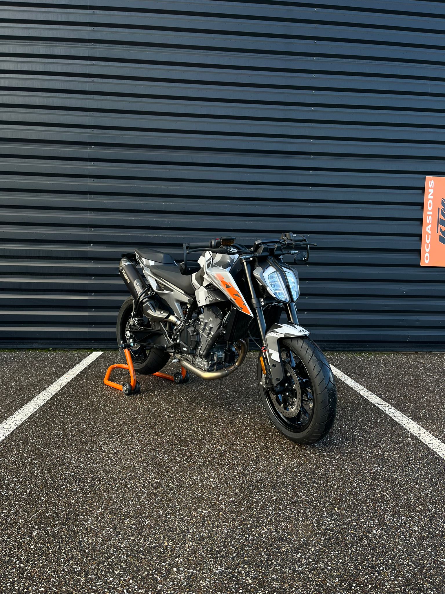 whatsapp-image-2026-02-06-at-16-48-29-3