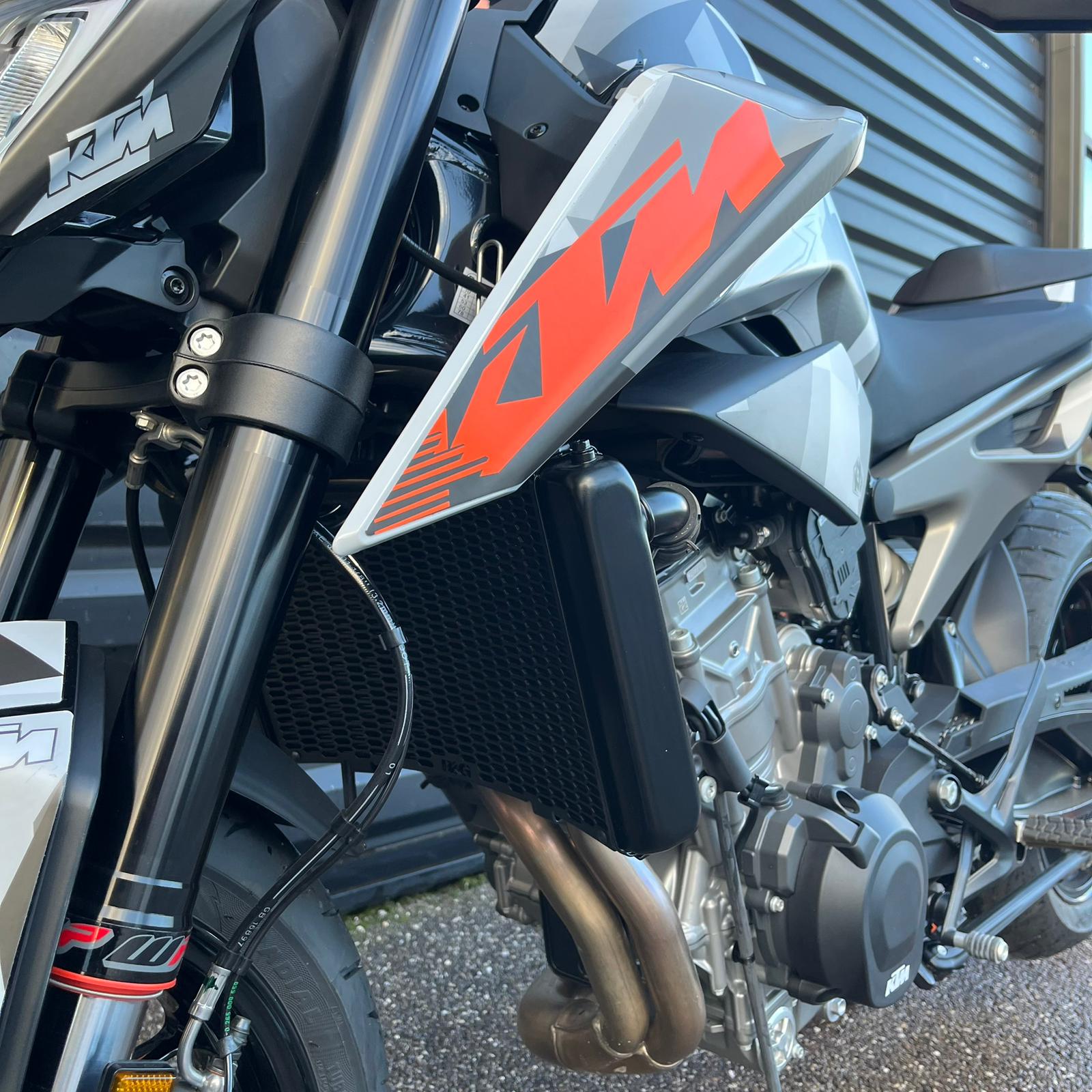 whatsapp-image-2026-02-06-at-16-48-31-3